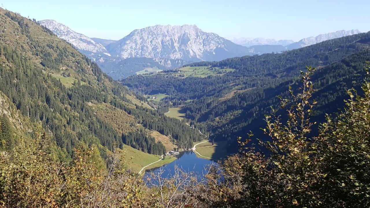 Bergtraeume * Haus im Ennstal