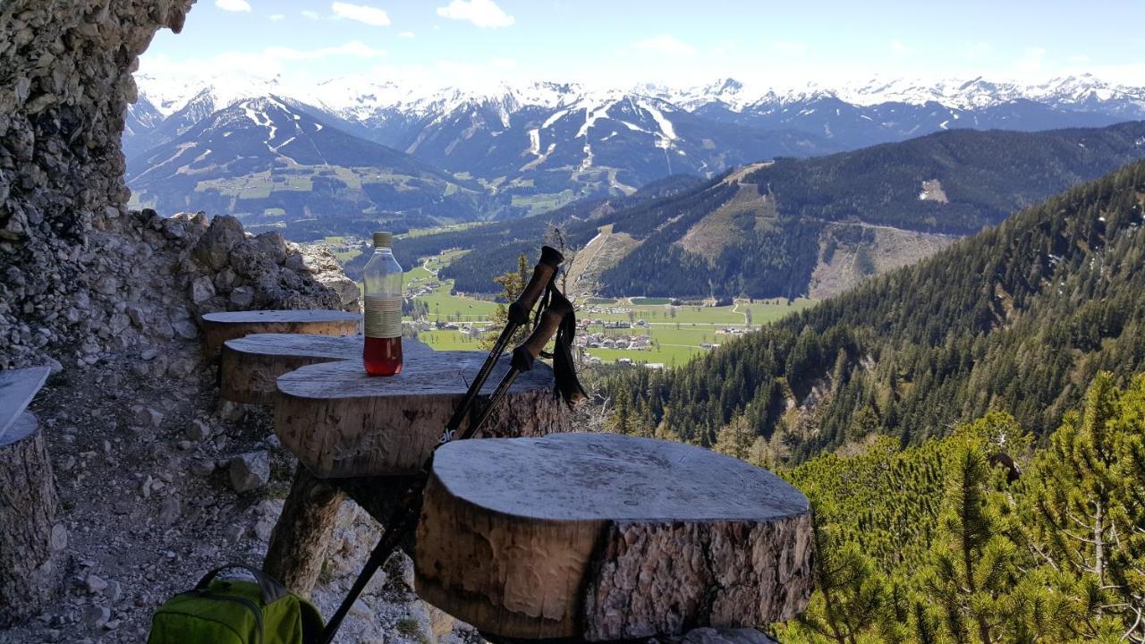Bergträume * Haus im Ennstal