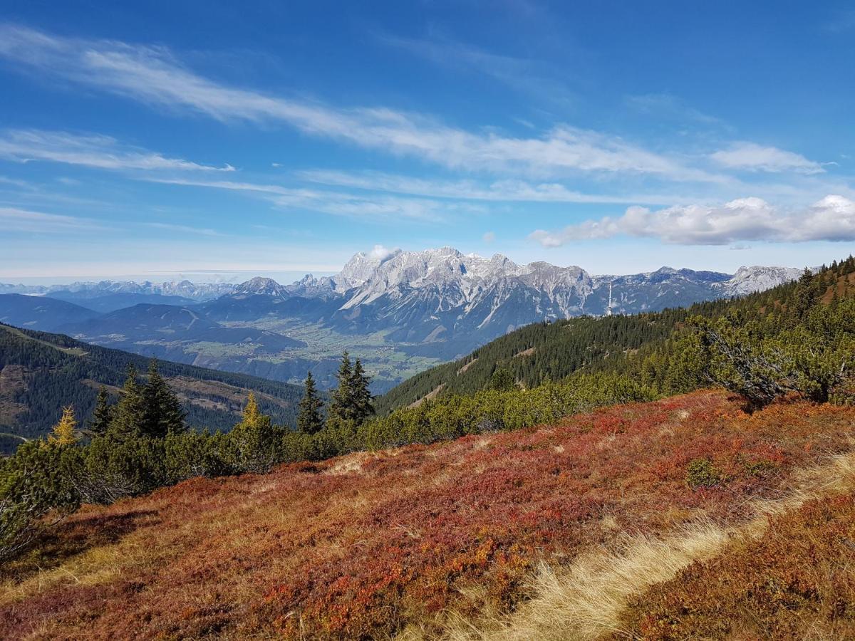 Bergträume